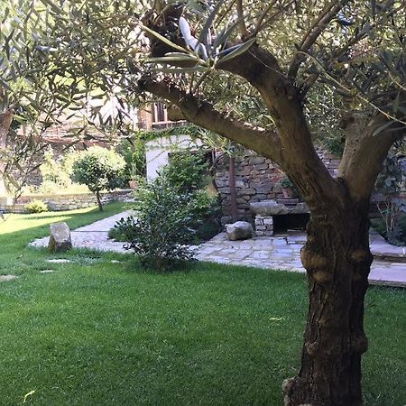 Number 10 Locanda B&B Belvedere Langhe Exterior foto